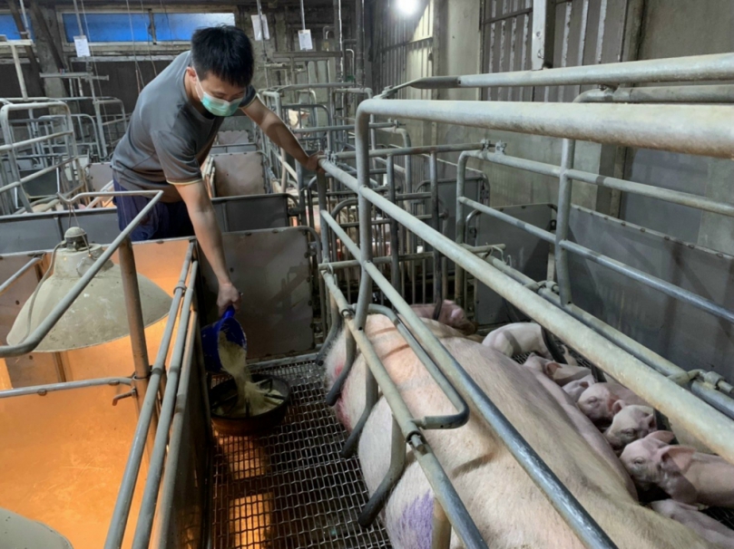台中市大安青農黃靖元致力科學養豬  以「智在養豬」為題勇奪112年農業創新菁英選拔賽亞軍