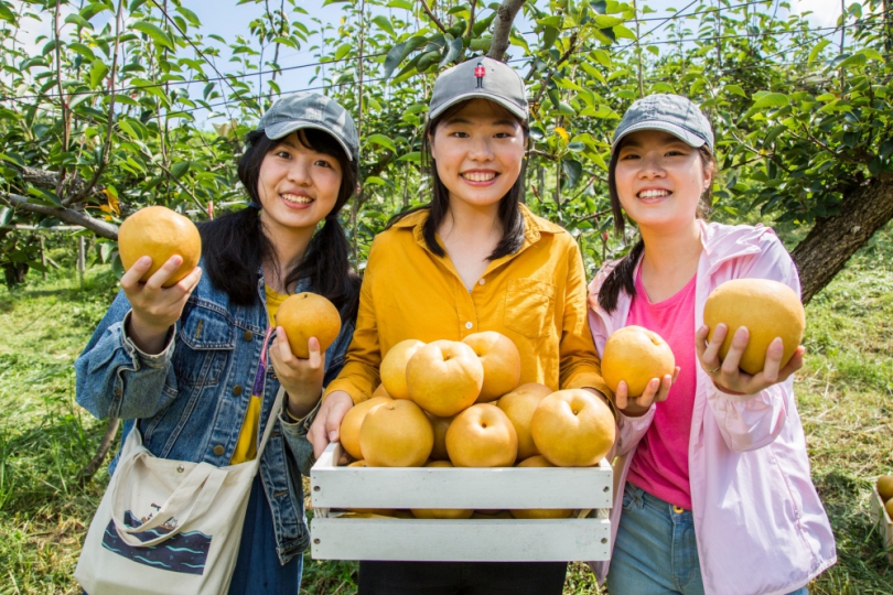 台灣觀巴即日起買1送1  參山加碼抽限量喔熊行李箱好禮