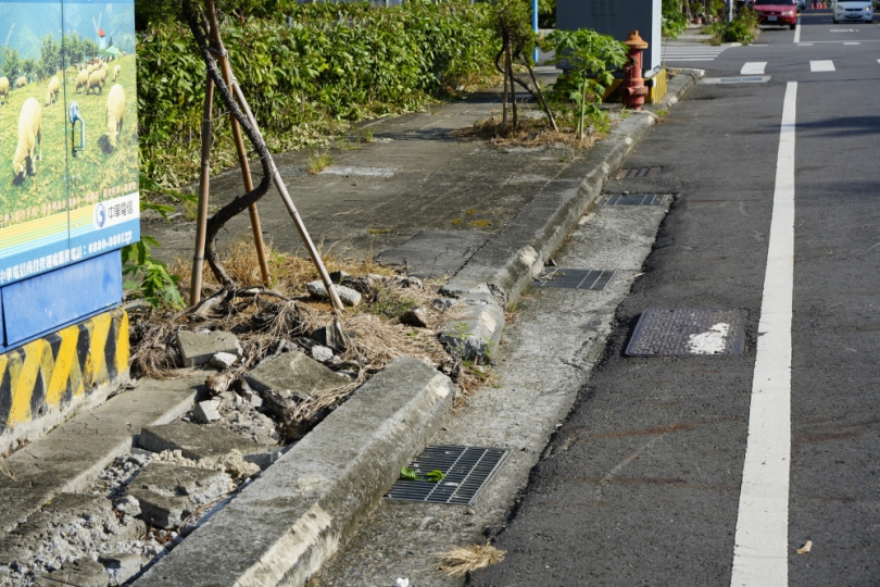 爭取營建署7700萬計畫獲准！中興營北路、仁德路等人行道將完整改善