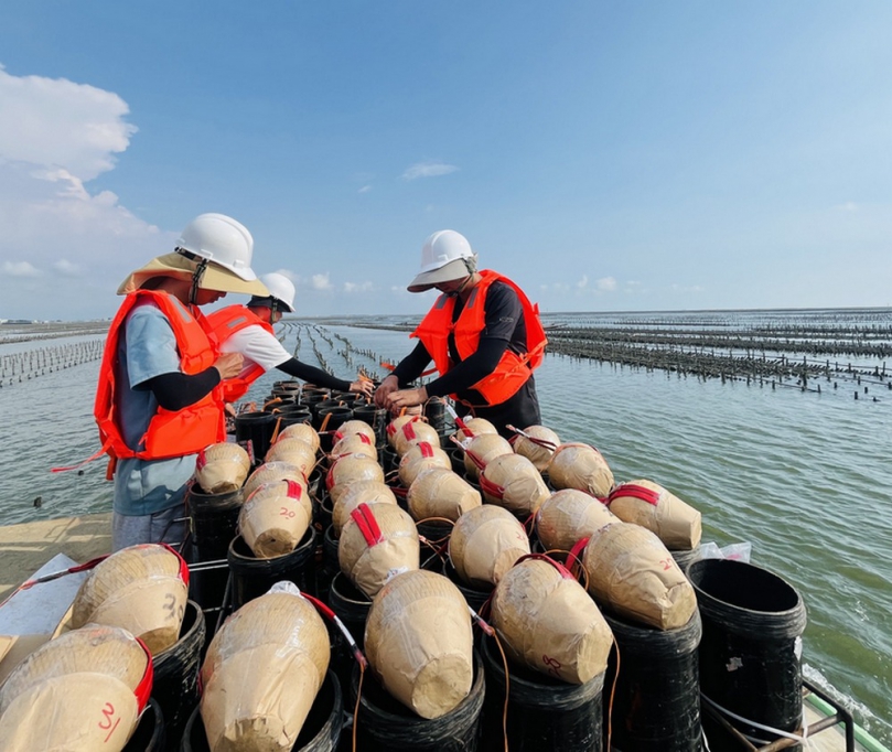 嘉義東石海之夏煙火秀31日華麗登場 1.7萬發煙火完成佈設待點亮夜空