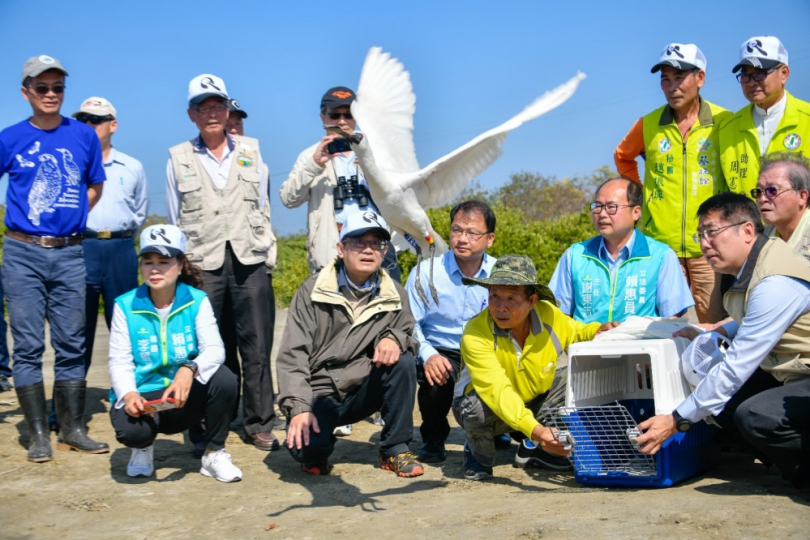 2024黑面琵鷺保育季啟動尋找市長黃偉哲任內野放傷癒的18隻黑面琵鷺