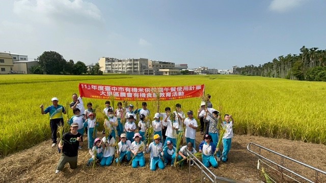 有機食農參訪研習   兩所小學體驗割稻及飯糰DIY