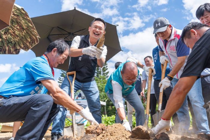 大園甘藷評鑑活動熱鬧登場　桃園優質甘藷推廣全臺