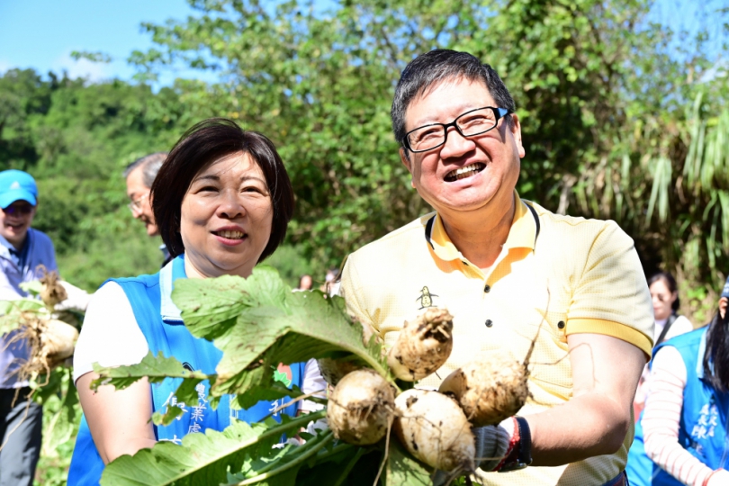 關西「蘿蔔美食節」登場    楊文科：清甜美味一級棒！