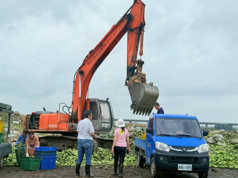 臺南文旦柚落果清運見成效！各界齊心協力　近兩萬公噸落果將清除完畢
