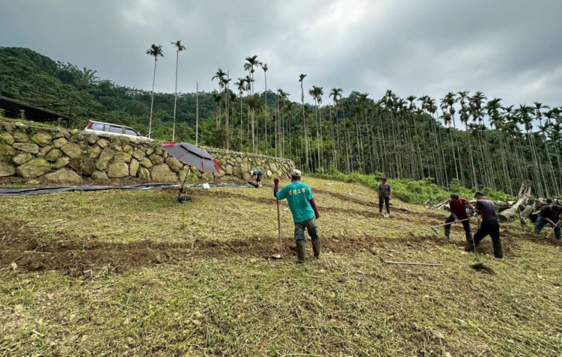 雲林縣新增大湖底賞螢棲地　推動螢火蟲復育再邁一步