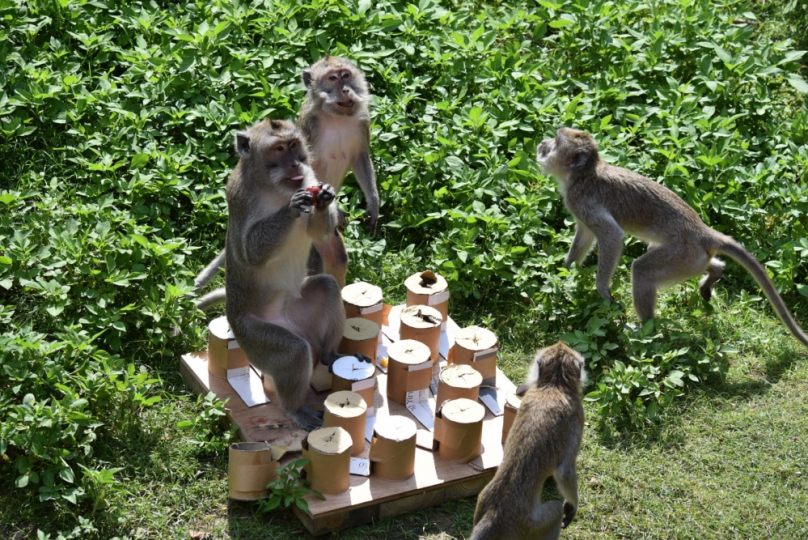 吃喝都有遊具   新竹市動物園生活不無聊