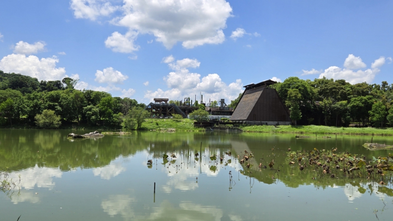 東勢林業文化園區盛夏限定「2025共夏過森日」森林療癒系列活動 溫柔登場