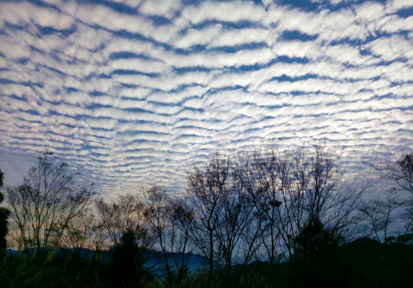 中颱楊柳登陸   新竹林業分署下轄遊樂區及烏來台車  今起預警性休園或停駛