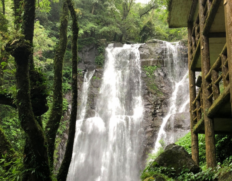 9/27滿月圓瀑布步道重新開放   處女瀑布與其他步道照常迎客