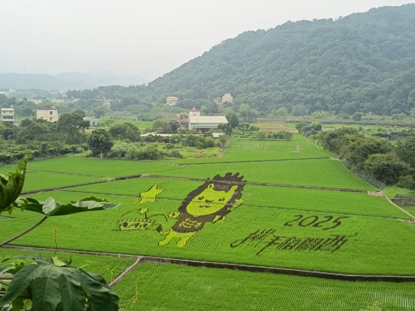關西稻田彩繪繽紛登場　9/20–21盛大開幕活動