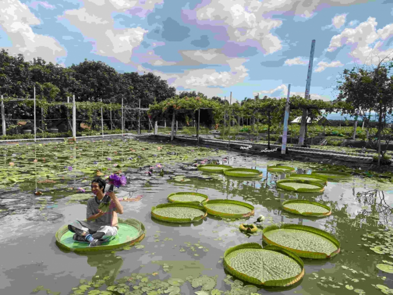 跨國行銷再升級！西拉雅攜手港馬網紅齊力宣傳
