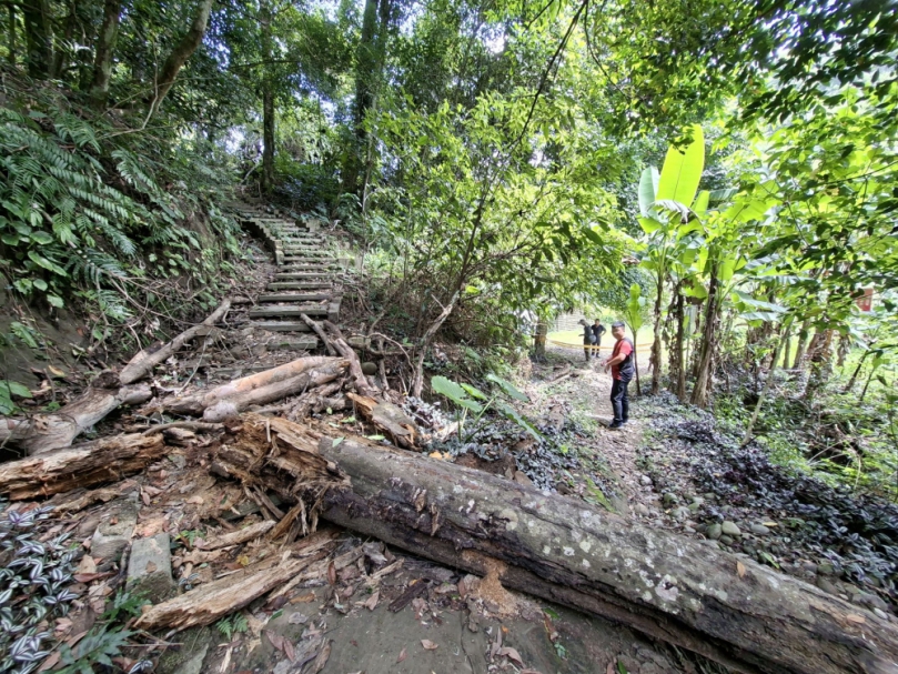 青桐林北坑溪環狀步道封閉    民進黨議員張芬郁爭取修復籲山友暫不前往