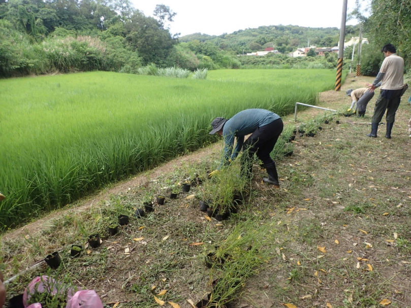 公私合作新典範   苗南跨域協作共譜生態綠網新篇章