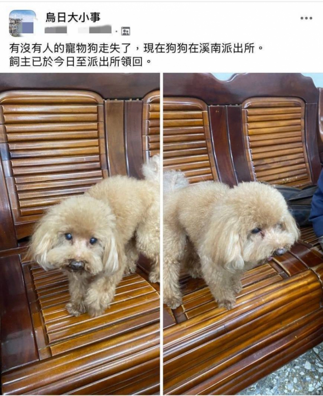 超聰明！紅貴賓逛大街迷航  直衝警局求助！