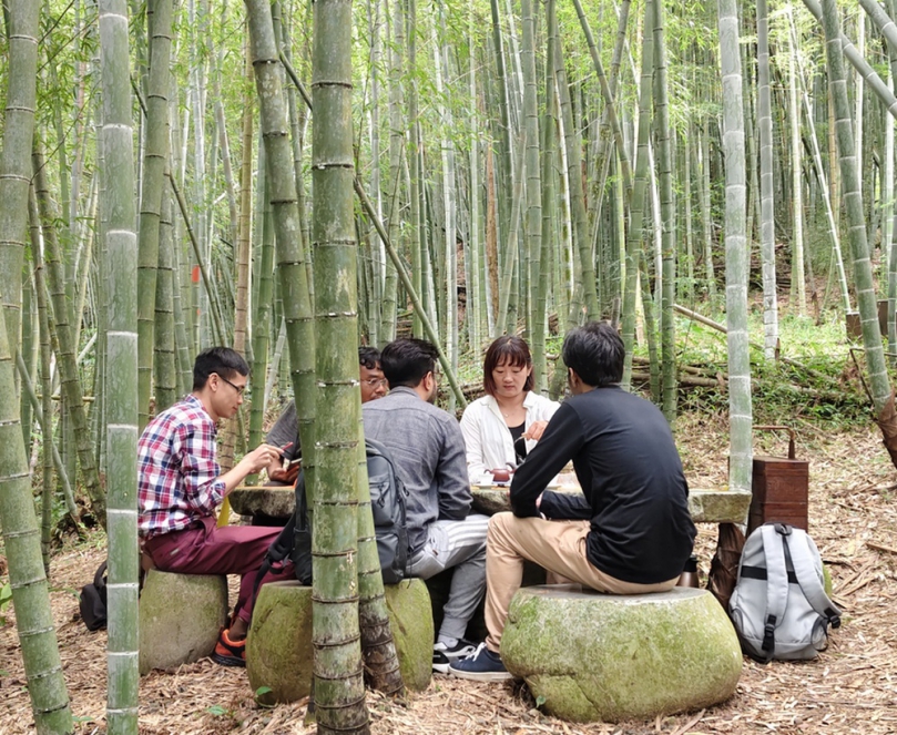 阿里山四季茶旅全新體驗 深入茶鄉沉浸式療癒體驗