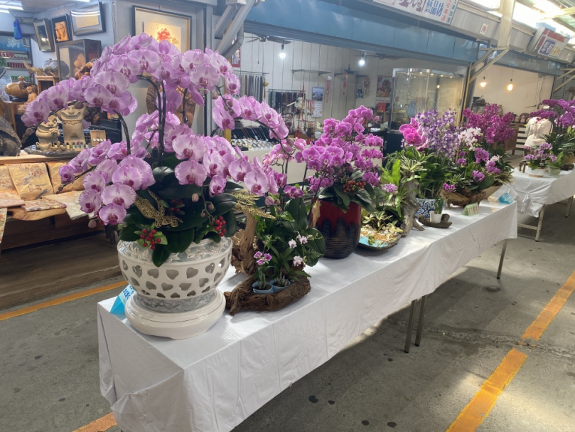 蘭花創意組合展    投票享好禮