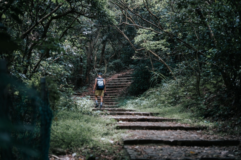 「森遊竹縣」完登人數持續攀升   3成山友連4年挑戰不間斷