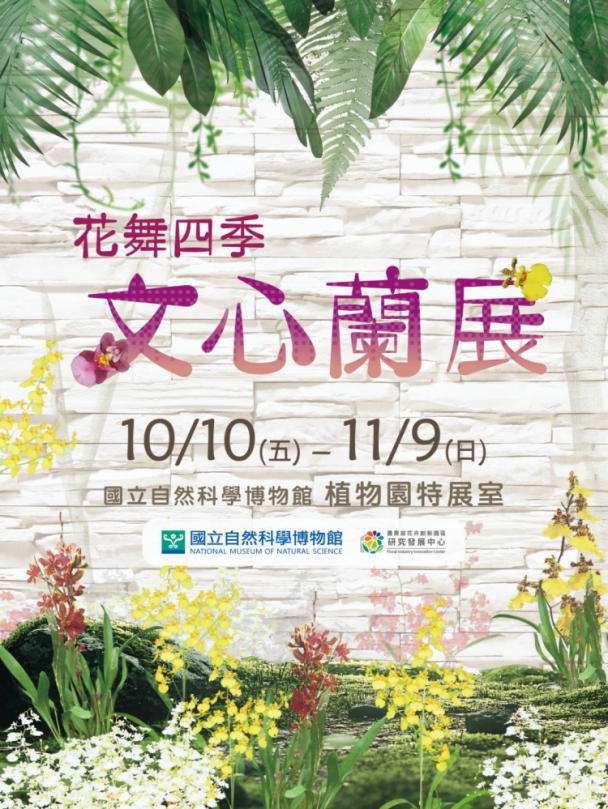 科博館《花舞四季—文心蘭展》連假開展  近20種文心蘭品種盡收眼底