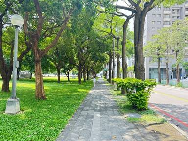 走起來更安全！西屯「夏綠地公園」人行道優化登場 年底前完工迎綠意新步道