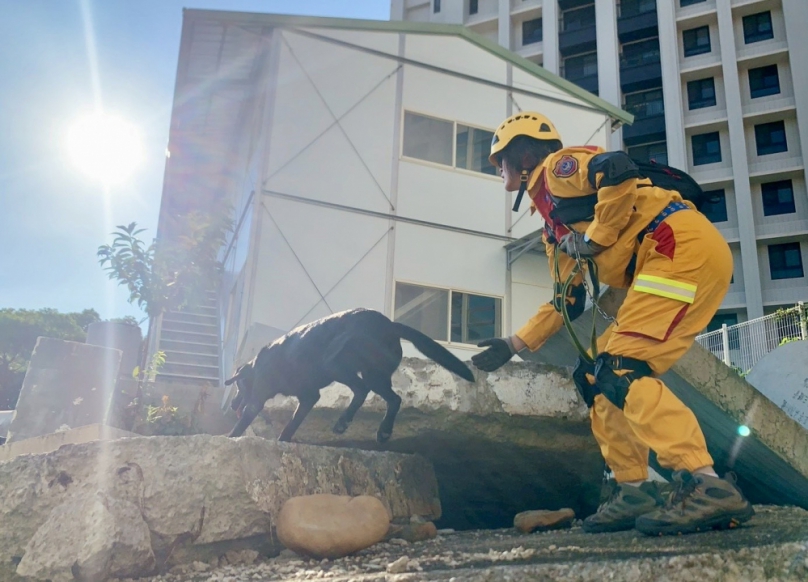 新竹市國際認證搜救犬＋1    恭喜Brook通過IRO測驗！