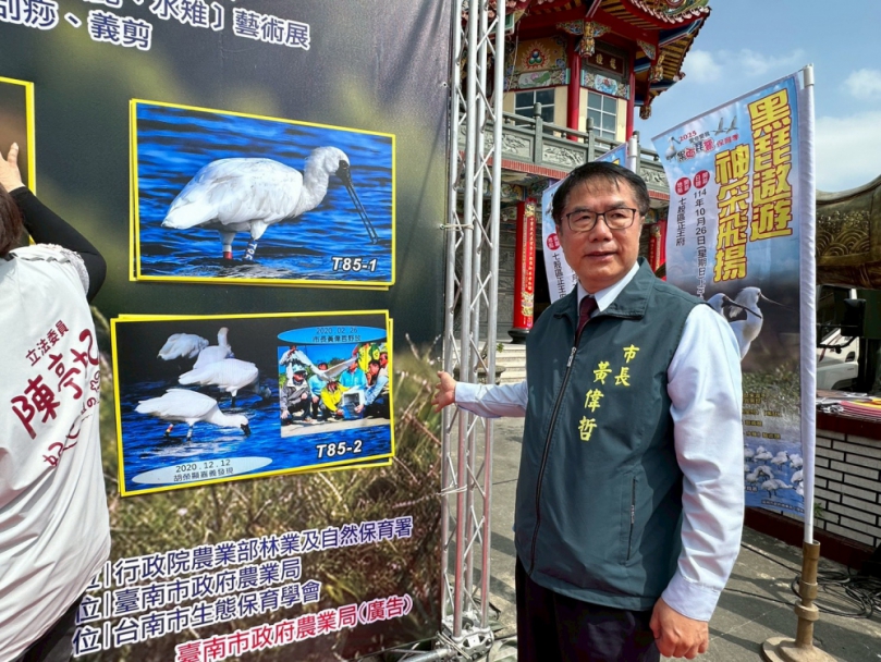 臺南黑琵破千隻！2025黑琵保育季開幕！台南市長黃偉哲邀請親子同遊台南賞黑琵