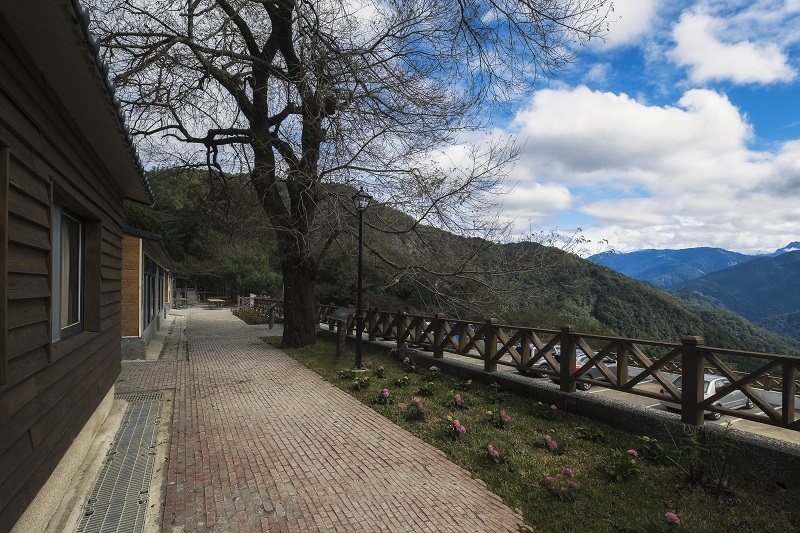 颱風天不要入山！新竹分署所轄國家森林遊樂區及烏來台車  今天下午起預警性休園及停駛