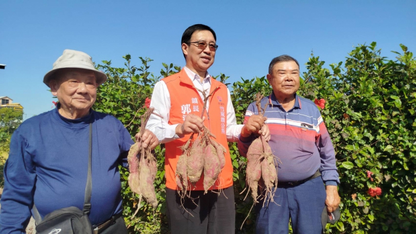 11/29~30   竹東黃金地瓜節公道五登場   歡迎來焢窯、逛市集