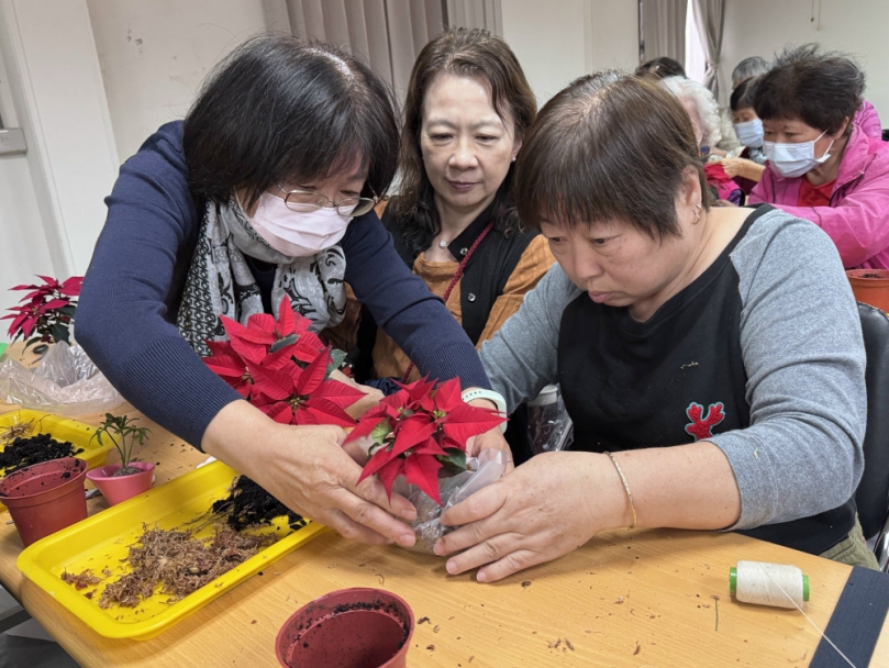 大甲區50位長輩熱情參與「聖誕紅與麋鹿的祝福」療癒手作活動