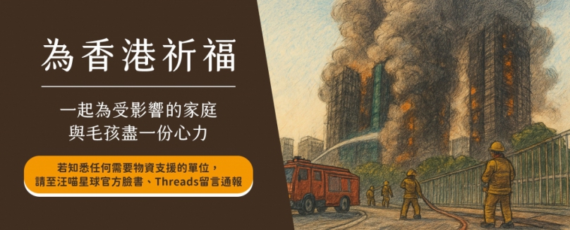 香港有難  台灣不缺席！汪喵星球啟動宏福苑受災寵物跨海援助行動