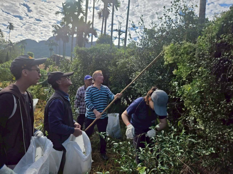 新竹林業分署公私協力除「綠癌」  三峽區安坑里重見光明