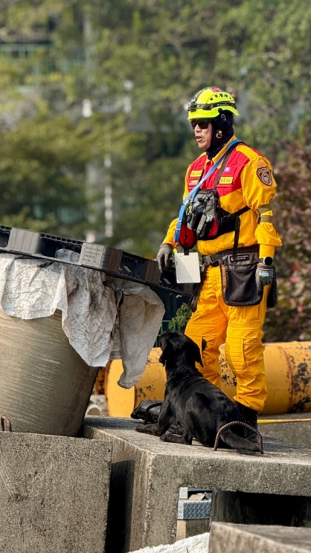 台中搜救犬 Uno、Ring 挑戰極限！通過2025國家MRT搜救犬最高等級認證