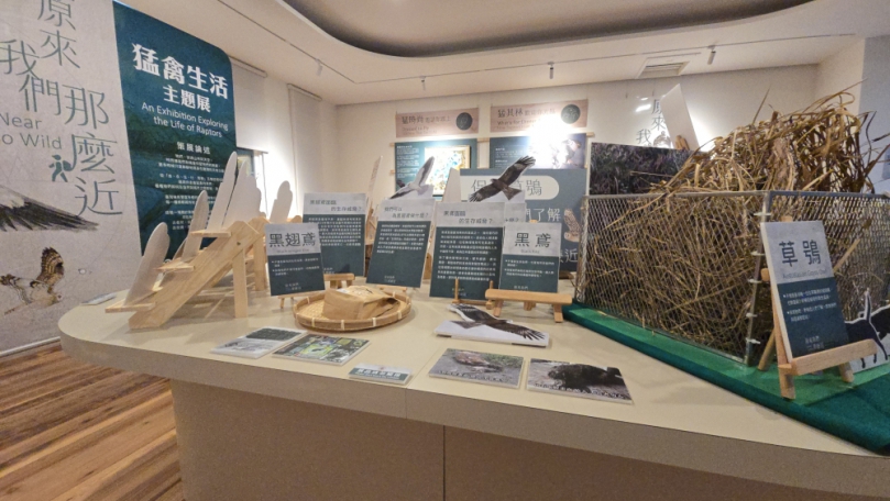 臺中分署等合作舉辦「猛禽主題生活展」 移展大雪山 帶您認識猛禽世界
