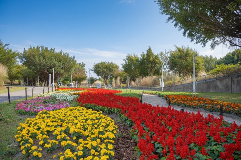 2026新年走春好去處！台中道路、公園繽紛蒔花妝點城市景觀
