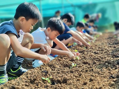 中市瑞井國小深耕永續教育有成榮獲114年度教育類國家永續發展獎