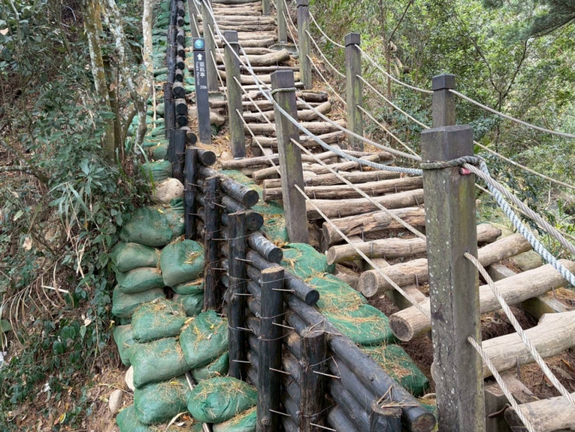 市府加速搶修大坑步道　6、7號步道今日提前開放　2、5號步道拚2月底通行