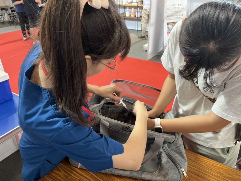 今年起   新竹縣貓隻強制辦理寵物登記  違者罰3000~15000元