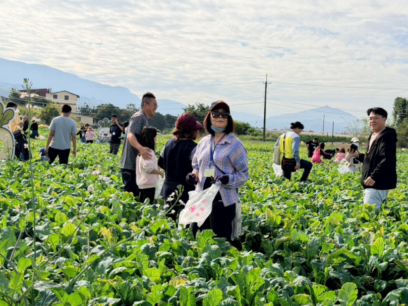 拔得新年好彩頭! 竹山鎮親子拔蘿蔔體驗寓教於樂（