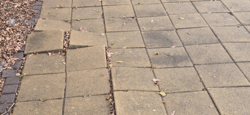 台中市市政路至市政南一路龍富路五段旁人行道磁磚大規模翹起、路面嚴重凹凸不平、已成行人安全隱患。
