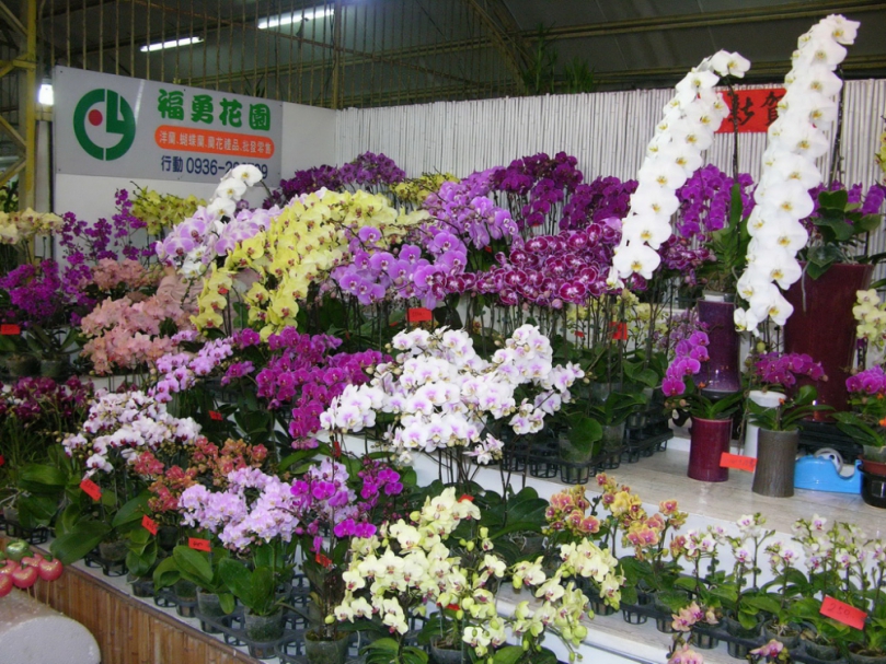 大里農會國光花市春節期間   2月12日起至2月22日連續營業11天  有各種花卉和農特產品