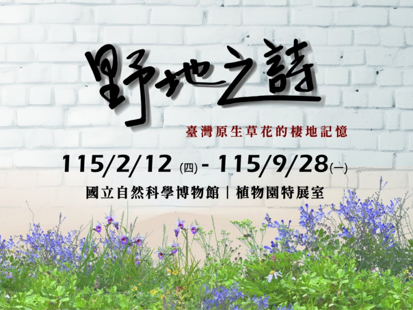 城市不遠，野地不散！ 科博館植物園《野地之詩》帶你聆聽臺灣原生草花在城市裡說故事