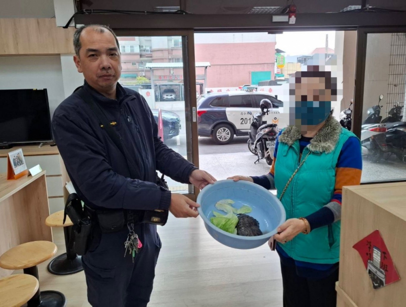 愛龜離家出走急壞飼主　豐原警調監視器助「錢錢」平安返家