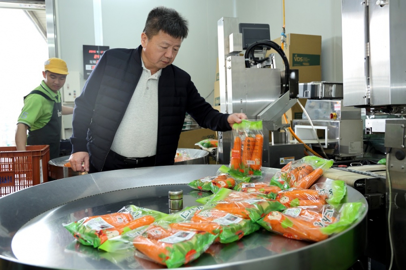 第四屆國際台灣胡蘿蔔日登場　VDS攜星級主廚打造永續食尚