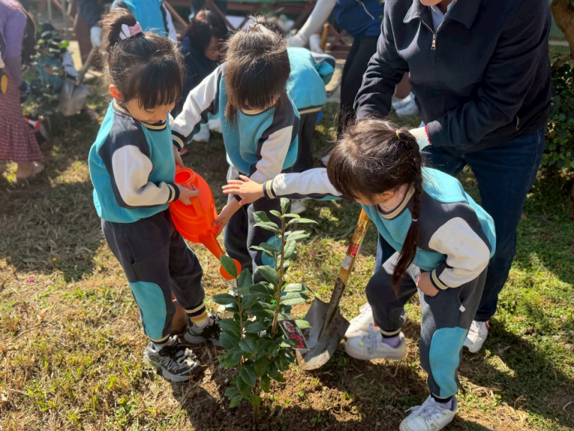 一棵樹的力量，為山林種下未來 參山處三地植樹行動 推動低碳永續觀光