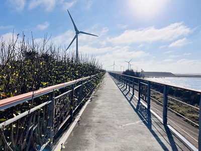 中市濱海自行車道設施修繕完工打造安全舒適騎乘環境