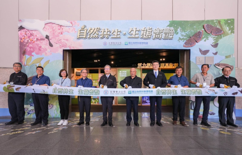 台中飛日韓拓展新航線！星宇、真航、虎航三家齊發