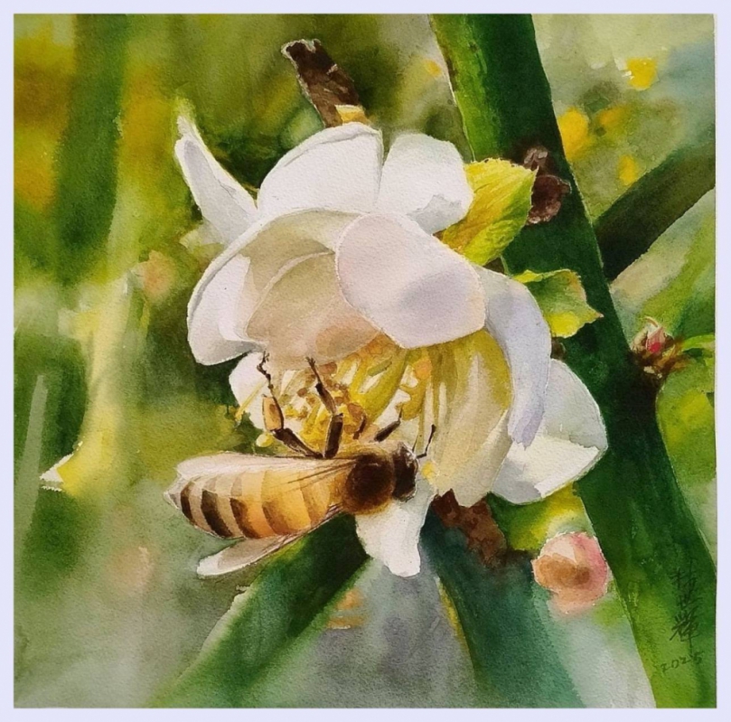 用水彩抓住微光與記憶片刻   林世輝水彩創作竹美館展出中