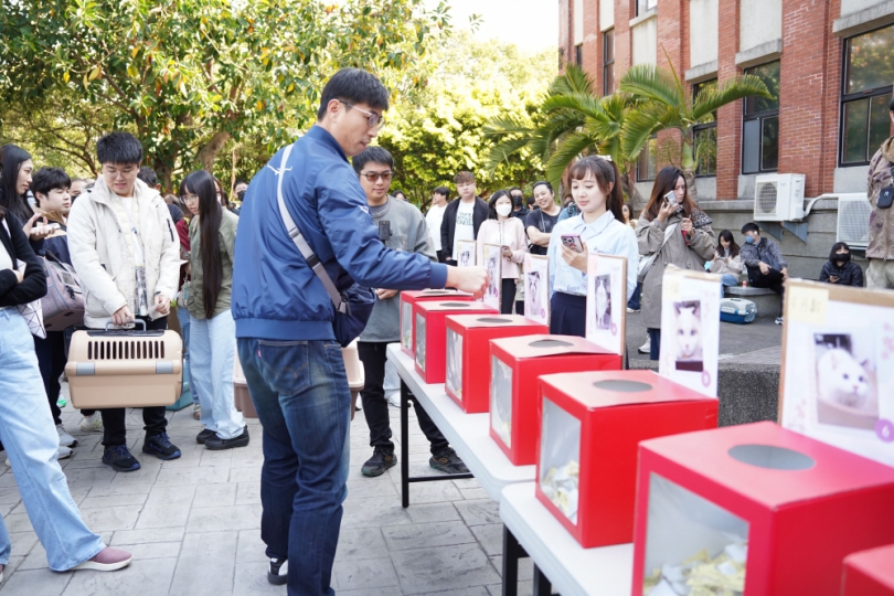 把浪浪帶回家   新竹縣推領養醫療補助每隻最高3000元