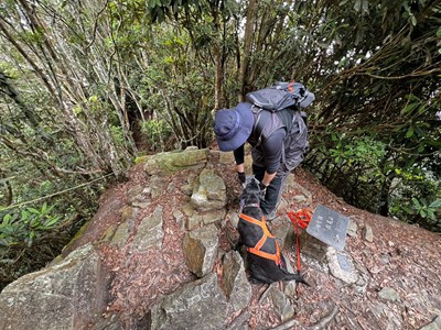 台中市搜救犬Jacob與Wonder圓滿退役前往新家開啟後半輩子幸福生活
