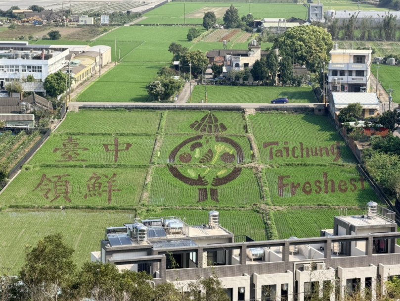 外埔彩繪稻田「台中領鮮」登場　結合透視藝術與在地農產 打造春夏最鮮體驗